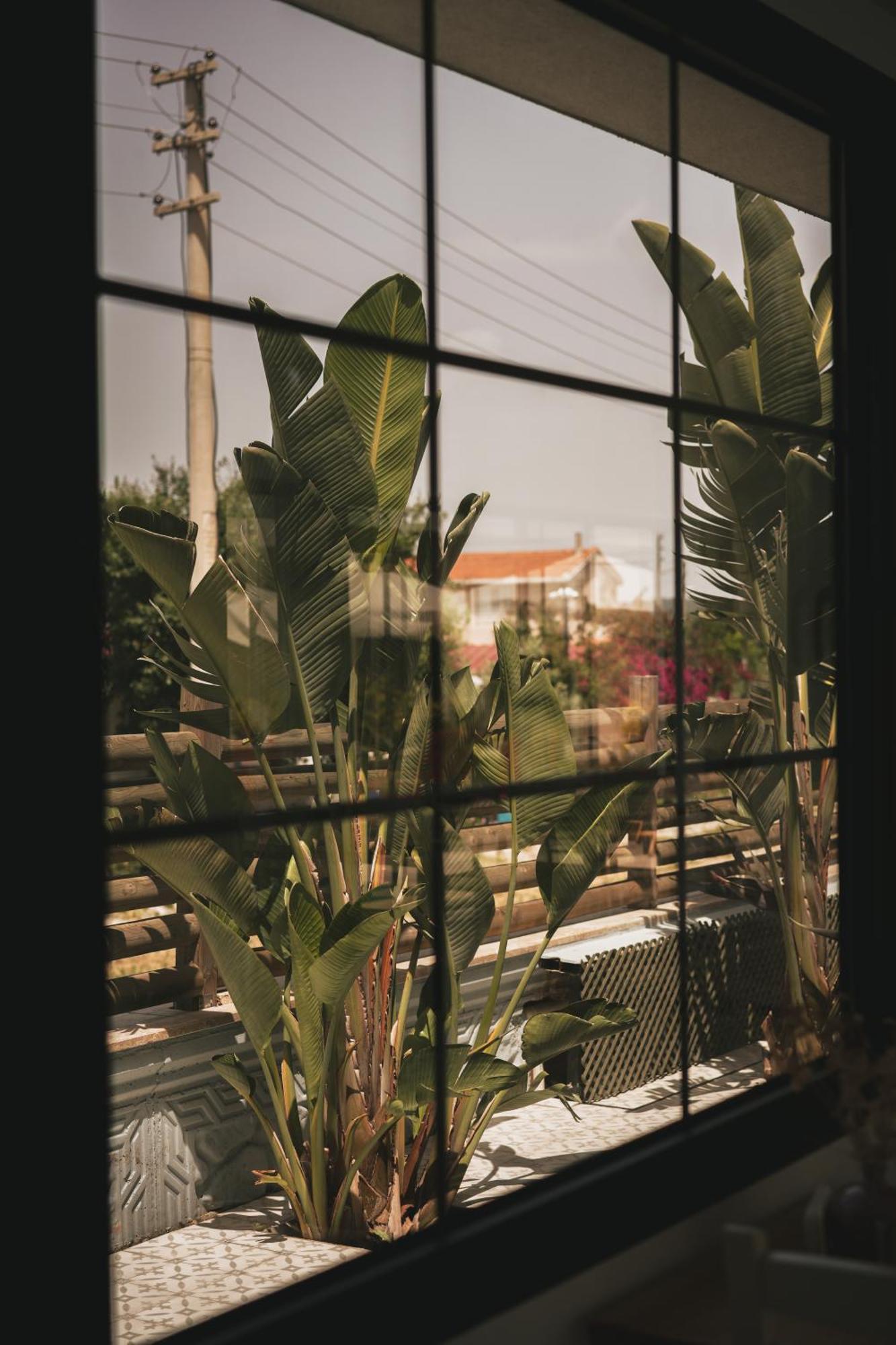 La Vida Otel Urla Exteriör bild